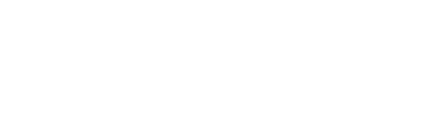 The Ethiopian National Project